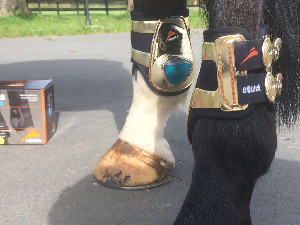 eShock Exclusive Gold Edition Fetlock Boots