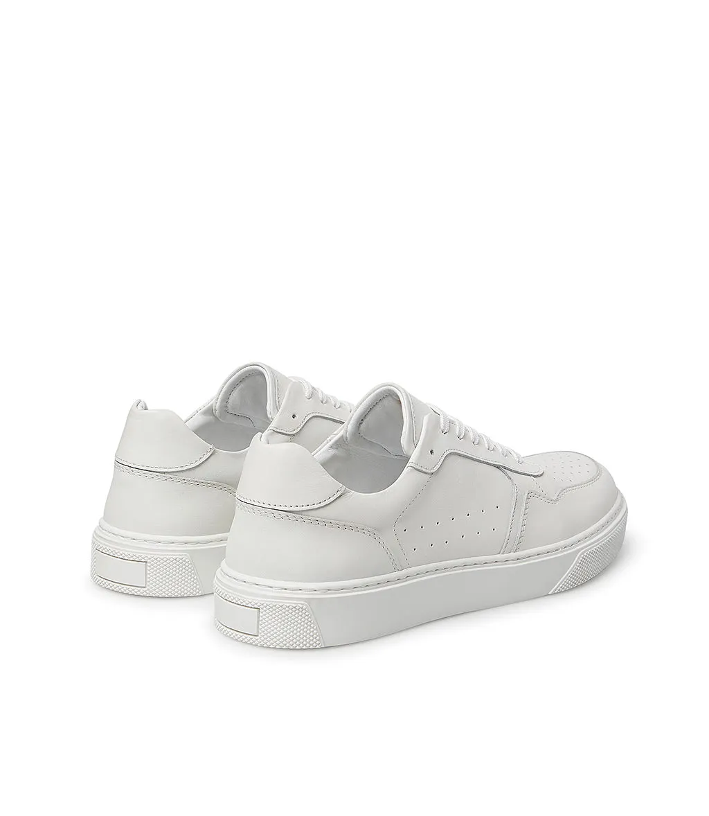White leather and suede sneakers